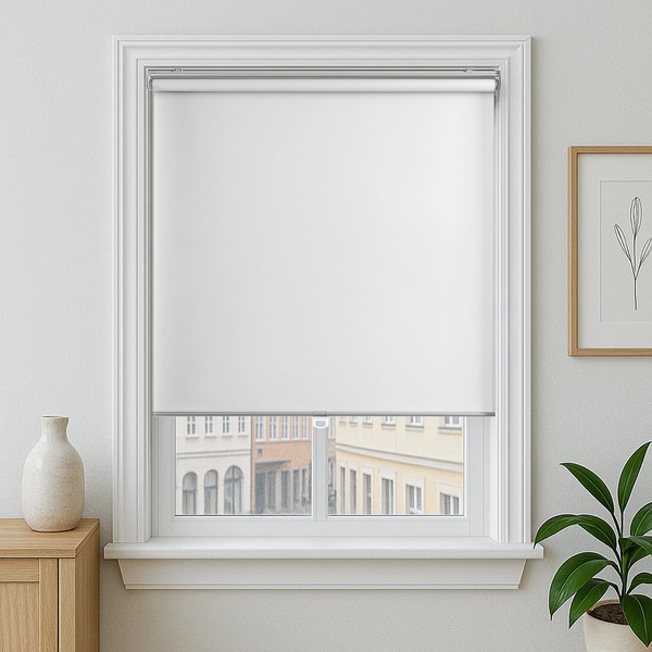 Blackout Roller Shades Cordless Blinds for Windows, Free-Stop Shades with