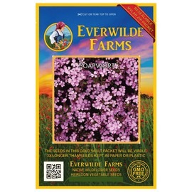 Everwilde Farms - 1000 Soapwort Wildflower Seeds - Gold Vault Jumbo Seed Packet