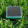 P3 Vanish Snake Repeller, Pet and Human Safe Snake Repellent