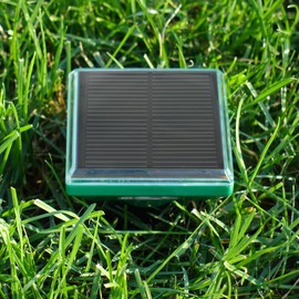 P3 Vanish Snake Repeller, Pet and Human Safe Snake Repellent for Yard and Outdoors