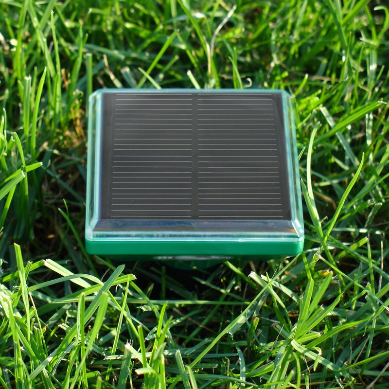 P3 Vanish Snake Repeller, Pet and Human Safe Snake Repellent