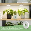 LORDEM Ceiling Grow Light for Indoor Plants, 96 LEDs Full