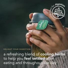 Pukka Herbs Three Mint Organic Herbal Tea Box - 40 Plant Based Biodegradable drink - Tea Infusion With Spearmint, Peppermint, Fieldmint - For Digestion - Sleep - Caffeine Free