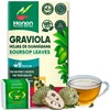 Hanan Soursop Leaf Tea Bags – 100% Natural Hojas de