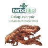 Calaguala Polypodium Leucotomos Raíz 2 Cremas De 60gr C/u