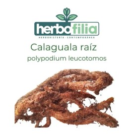 Calaguala Polypodium Leucotomos Raíz 2 Cremas De 60gr C/u
