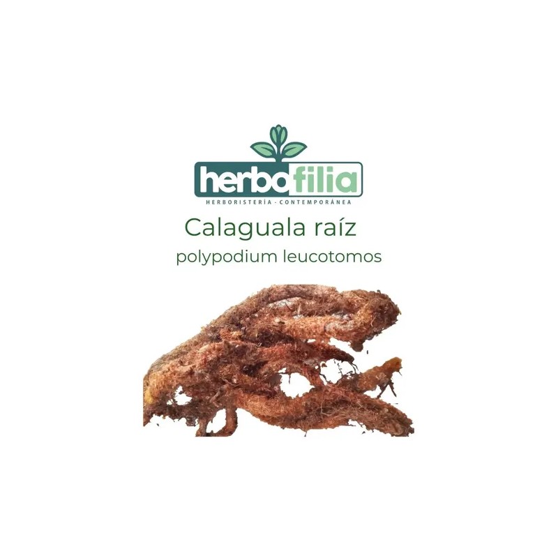 Calaguala Polypodium Leucotomos Raíz 2 Cremas De 60gr C/u