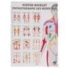 Physiotherapy of Man Mini Poster Booklet Anatomy 34 x 24