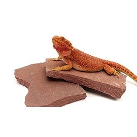 Carolina Custom Cages Natural Habitat Rocks, Wyoming Rose, Medium Size Pair