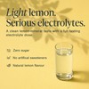 SmartFast Lemon Electrolytes for Fasting | 90 Serving Electrolyte Powder