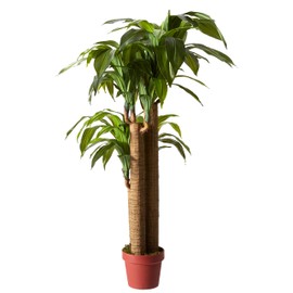 Nearly Natural 4ft. Corn Stalk Dracaena Silk Plant (Real Touch)
