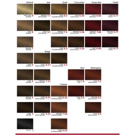 Vivitone PRISMA Cream Hair Color - NO AMMONIA - #4.77 Dark Violet 2.09 oz. - 100% Grey Coverage, Long Lasting Shine, Made in Italy.