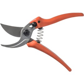 Original Löwe Shears