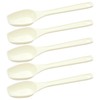 5cc x 5 Takayama Teaspoons (Easy to Scoop Flat Tip,