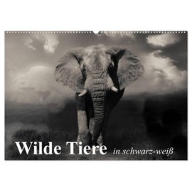 Wild Animals in Black and White (Wall Calendar 2025 DIN A2 Landscape), CALVENDO Monthly Calendar