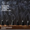 Balsam and Cedar Charcoal Incense Cones 1" TOPFLOW - 50