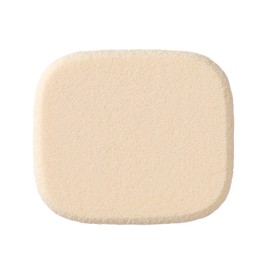 FASIO Mineral Foundation Ochre 415 0.3 oz (9 g) (Refill)