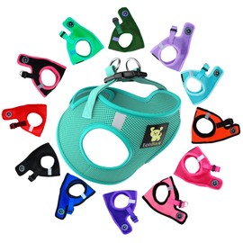 EcoBark Step in Dog Harness - Eco-Friendly Teacup Dog Harnesses for XXS, XS, and Small Dogs - Reflective and Adjustable Mini Body Halter Vest -Tiny Soft Mesh Toy Breed Harness (Mint, XXS)