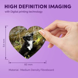 1 x Heart MDF Magnets - Chihuahua Puppy Black & White Dog 44582