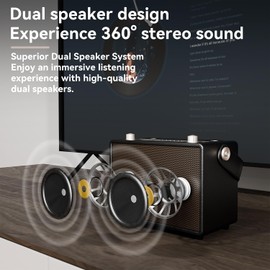 COKYISS Vintage Karaoke Machine with Dual Cordless Microphone, Rechargeable Portable Bluetooth Sound System for Kids and Adults, Party Speaker with AUX/USB/TF/OTG Compatibility, Retro Decor Present