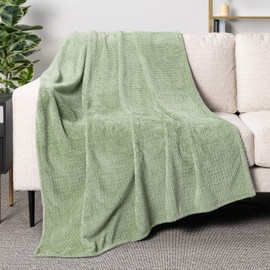 PAVILIA Soft Fleece Light Green Throw Blanket for Couch, Lightweight Plush Warm Blankets for Bed, Fuzzy Cozy Flannel Blanket Throw for Sofa, Travel, Jacquard Pattern, Sage Green, Twin, 60x80 inch