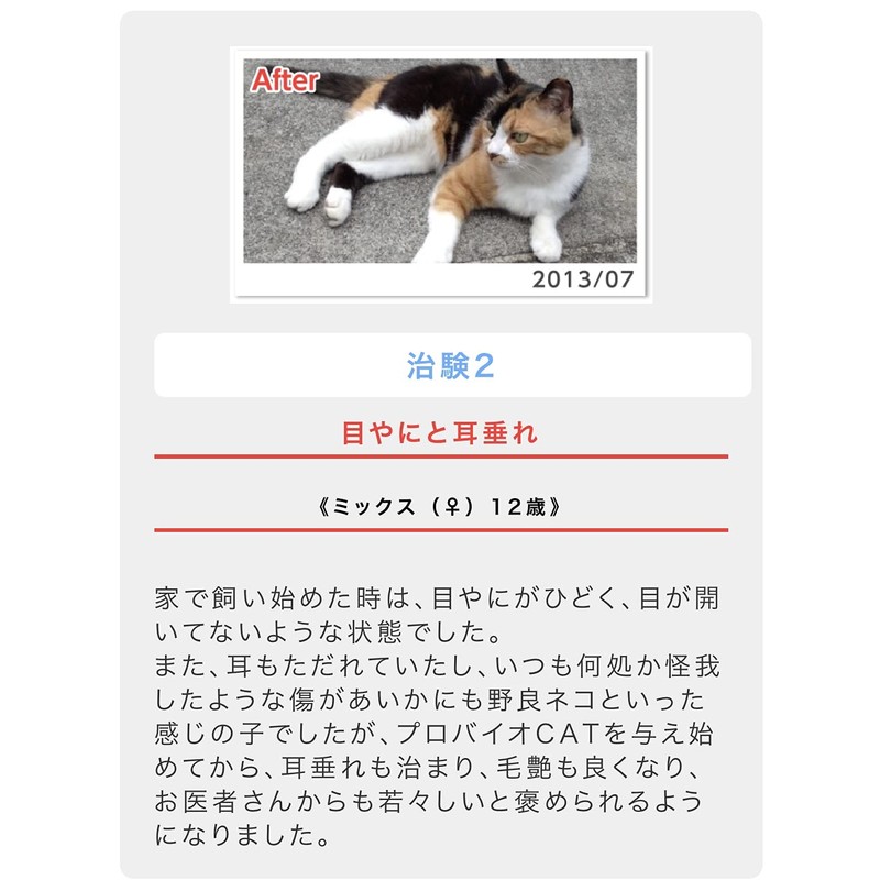 For Cat Eye Resin, Skin Disease, Allergies and Kidney Support,