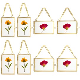SUMTree 8 x Glass and Metal Picture Frames, Hanging Glass Photo Frame, Plant Sample Clip, for Pressed Flowers, Photos, Glass Frame Only (Gold, 5 x 7.6 cm, Rectangle, 4 x Horizontal, 4 x Vertical)