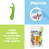 Pierrot Kids Dental Flossers - Fun, Colorful Picks for Children