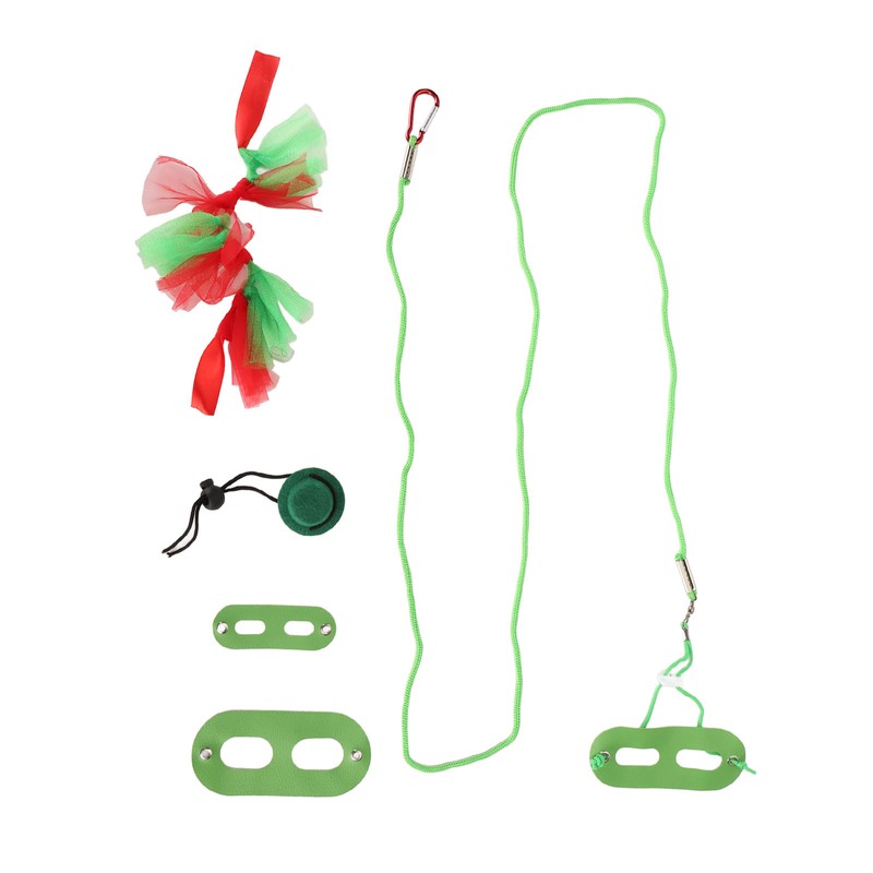 Reptile Pet Leash Kit Christmas Reptile Harness with Skirts Hat