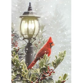 Classic Christmas Card 9 Pack ~ Winter Solitude, Beauty of the Season (5" x 7"; White Envelopes; 9-1)