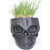 Skull Tiki Planter (Black)
