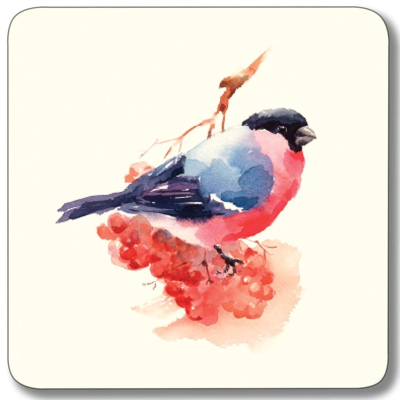 Garden Birds Melamine Coasters - Mixed Set 2, Pack of