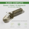 bCb | Complejo B completo | Clorela y Colina