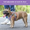 Arnés Pechera con Correa y Bandas Reflectantes para Perro Talla