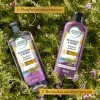 Kit Shampoo y Acondicionador Herbal Essences Romero y Hierbas Purificante