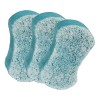 Spongeables Gel Exfoliante Corporal En Una Esponja, Sal Mari