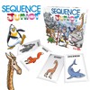 Goliath Games Sequence Junior | Classic Sequence Fun, Just for