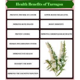 Organic N Natural Tarragon Leaves |100% Natural | 60gm | Product of France
