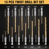 SPEEDWOX 13 Piece Drill Bit Set, For Woodworking, Hex Shank