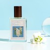 Atelier Pays Acacia Bliss 30ml / 아뜰리에페이 acacia bliss 30ml