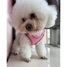 Solmoony Dog Harness for Small Medium Dogs No Pull, Puppy Harness and Leash Set, Puppy Harness for Small Dogs, Step in Harness for Small Dogs, Small Dog Harness, mesh Dog Harness. (Pink, M)