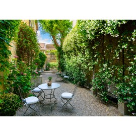 Loccor Fabric 5x4ft Europe Town Cafe Backdrop Provence France Photography Background Medieval Village Patio Garden Street Backdrop Travel Party Decorations Wedding Portrait Photo Shoot Props