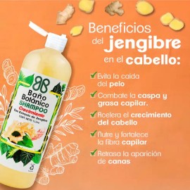Shampoo Baño Botanico Extracto De Jengibre (crecimiento)1 Lt                                                                                          