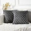 Yaertun Pack of 2 Super Soft Cozy Decorative Throw Pillow