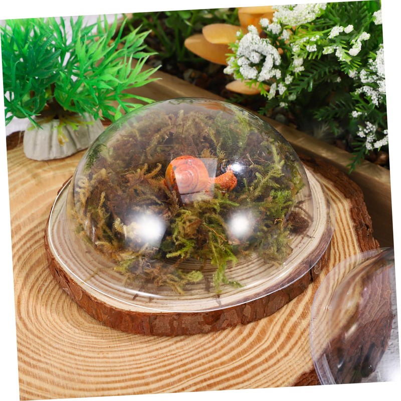 Totority 20pcs Clear Half Sphere Plastic Domes for Crafts Durable