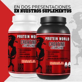 Creatina Monohidratada  Colágeno World 1 Kg 100 Servicios                                                                                             