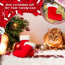 Syhood 8 Pcs Christmas Stocking Catnip Filled Cat Toy Christmas Stocking Catnip Toy Cat Plush Catnip Interactive Toy Teeth Cleaning Toys Gift for Indoor Cats Kittens Mint Teething and Play (Stocking)