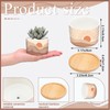 Qinyoung 6 Sets Boho Plant Pots Succulent Pot Modern Sun