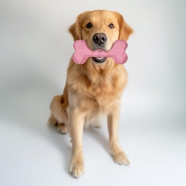 Chew Toy for Dogs Chew Bone Robust & Durable Dog Toy Against Boredom Made of Natural Rubber for Aggressive Chewing - Fillable, Robust & Good for Dental Care | Colour: Pink, Size: L