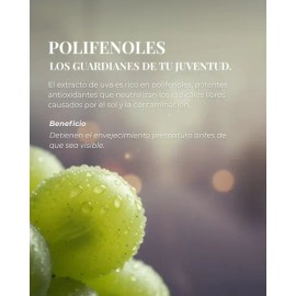 Crema De Noche Vinocosmética Reparación Y Nutrición 50 Ml Postquam